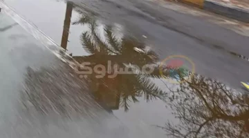 تحذير الأرصاد.. تقلبات جوية مرتقبة تشمل هطول أمطار ونشاطاً للرياح المثيرة للأتربة